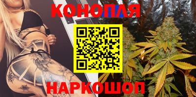 стафф Кандалакша