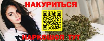 стафф Кандалакша