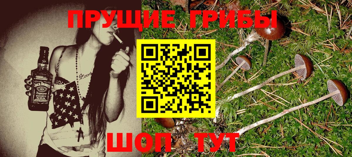 Псилоцибиновые грибы ЛСД Лесосибирск