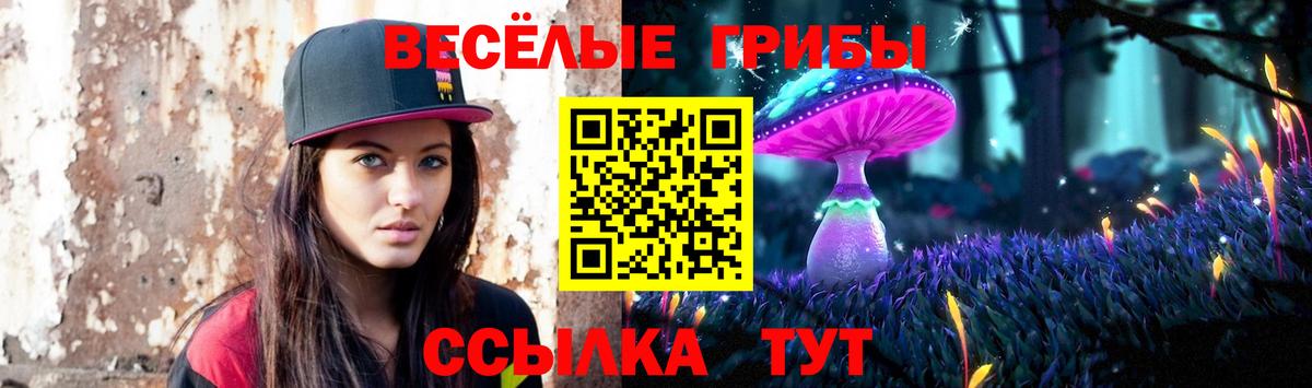 Псилоцибиновые грибы Cubensis  Вход с VPN  закладка  Лесосибирск 